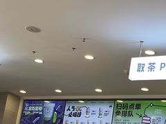 -雾与山茶(大禹城店)