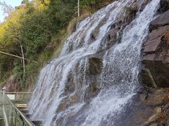 -九龙江国家森林公园