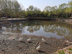 -北坞公园