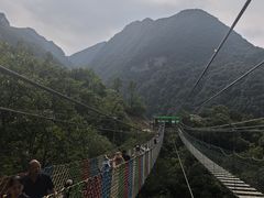 -栾川竹海野生动物园