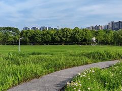 -洋湖国家湿地公园
