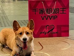 -千家粗粮王(MOMOPARK店)