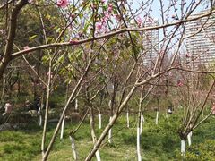 -重庆彩云湖湿地公园