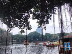 -荔湾湖公园
