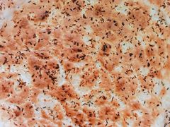 -阿布拉的馕(西北路店)