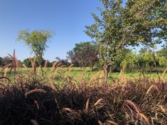 -汉长安城未央宫国家考古遗址公园