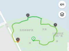 -上海滨江森林公园