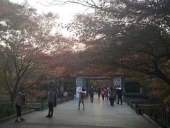 -苏堤停车场
