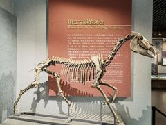 -齐齐哈尔市博物馆