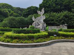 -金鸡山公园