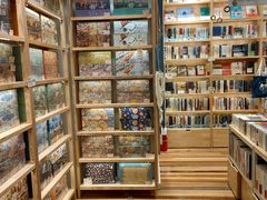 -猫的天空之城概念书店(印象城购物中心店)