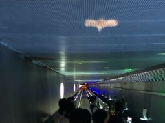 -白鹤梁水下博物馆