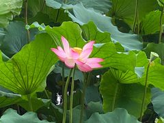 -苏堤停车场