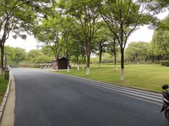 -贡湖湾湿地公园