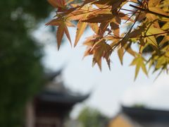 -龙华寺