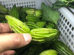 -晓雯人家