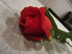 -北纬37°SPA养身会馆(湖西店)