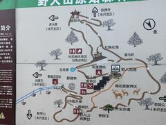 -栾川竹海野生动物园