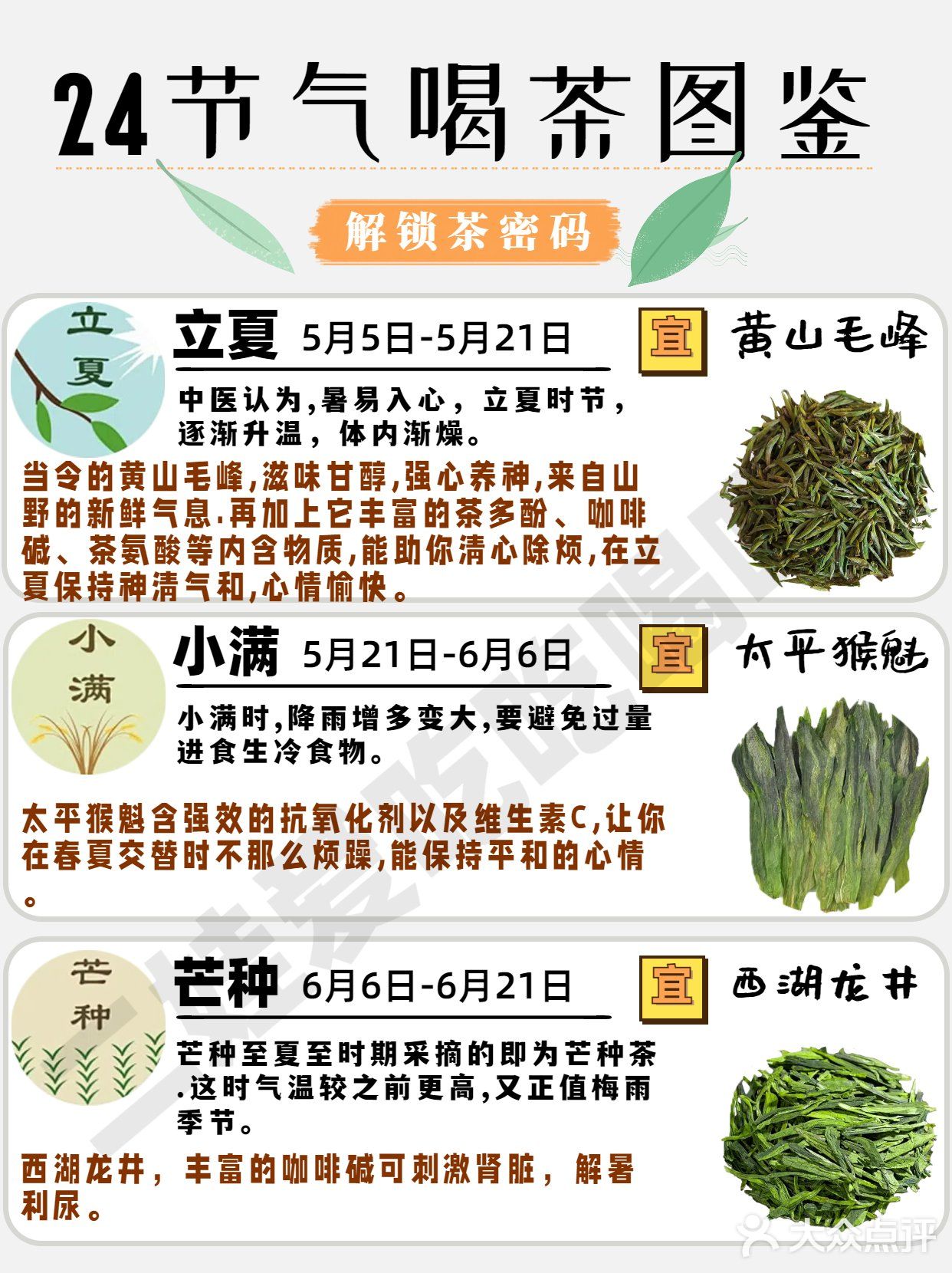 24节气喝茶图鉴🍃解锁茶密码