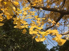 -北寺塔