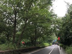 -杭州少年儿童公园