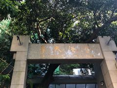 -香港大学