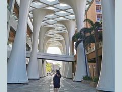 -三亚湾红树林度假世界(木棉酒店)