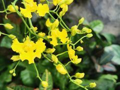 -北京植物园-展览温室