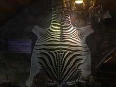 -青岛葡萄酒博物馆