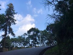 -广州市帽峰山景区