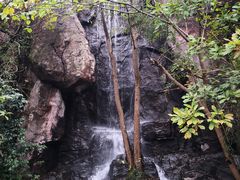 -天目湖山水园