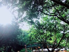 -东风公园