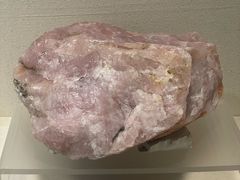 -安徽省地质博物馆