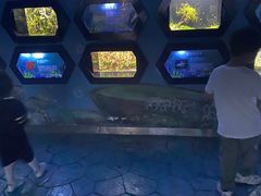 -梦幻海洋王国(吾悦广场张家港店)
