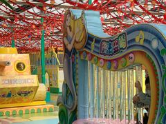 -南宫五洲植物乐园