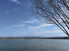 -野鸭湖国家湿地公园