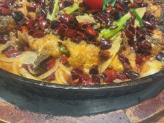 -老板恋上鱼(恒隆广场店)