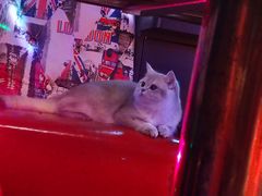 -秘宅KTV(马甸桥店)