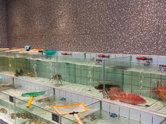 -小城故事·地道宁波味(月湖盛园店)