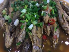 -全乐鱼馆·淳牌有机鱼直营店