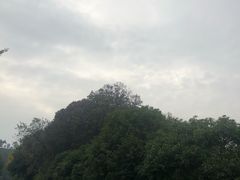 -杭州海华满陇度假酒店