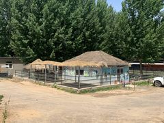 -爪吧宠物乐园·宠物泳池(温榆河示范区店)