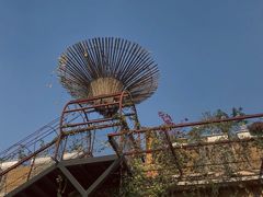 -立新湖公园