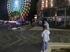 -琴岛之星摩天轮