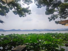 -湖畔居茶楼(湖滨店)
