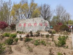 -西青郊野公园