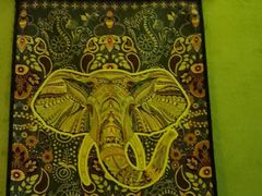 -憩泰SPA(三林店)