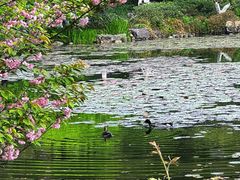 -杭州植物园