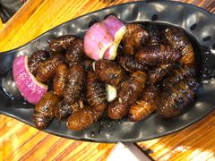 -丹东特色烤肉(学府路一部店)