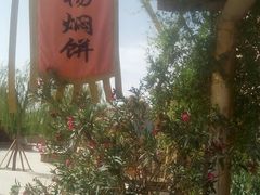 -沙洲胡杨焖饼